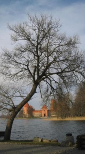 Hotel Ezerkiemis à Trakai Extérieur photo
