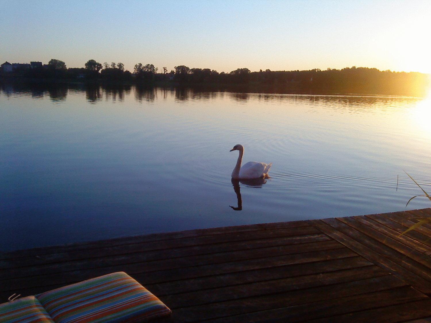 Hotel Ezerkiemis à Trakai Extérieur photo